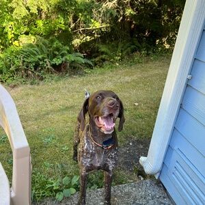 Meet your Posher, Em